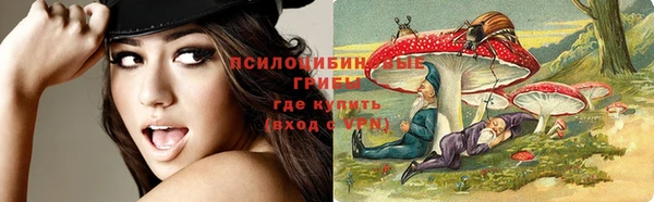 соль курить ск Новозыбков