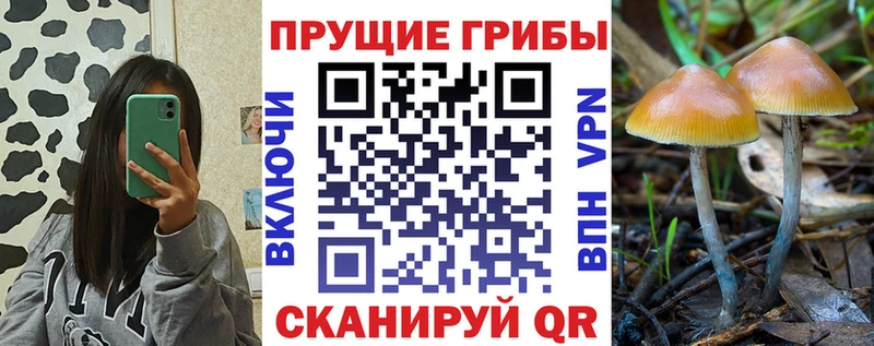 Псилоцибиновые грибы ЛСД Купить где Гусь-Хрустальный